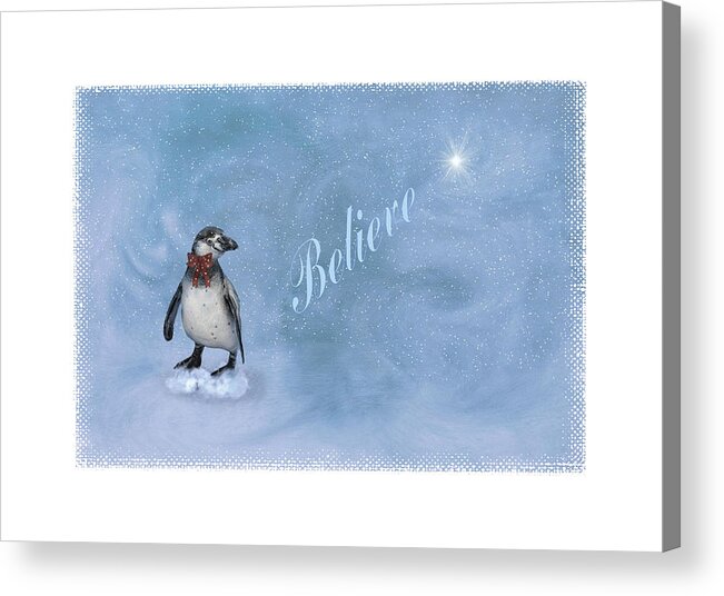 Christmas Acrylic Print featuring the photograph Believe by Robin-Lee Vieira