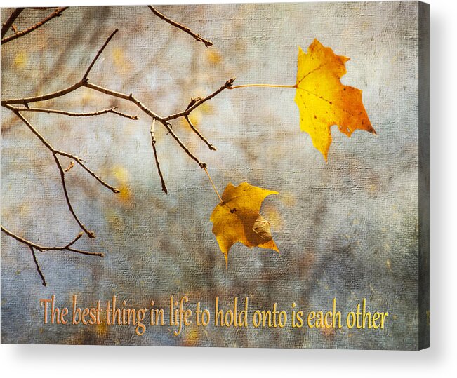 Greeting Card Acrylic Print featuring the photograph Best Thing by Cathy Kovarik