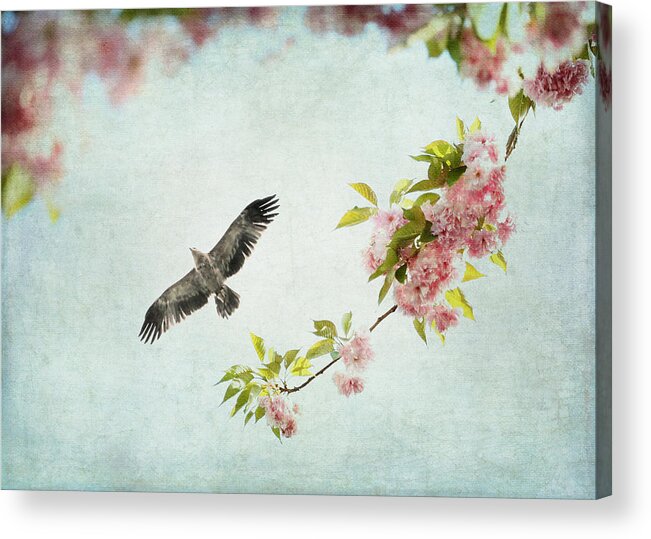 Pastel Acrylic Print featuring the photograph Bird and Pink and Green Flowering Branch on Blue by Brooke T Ryan