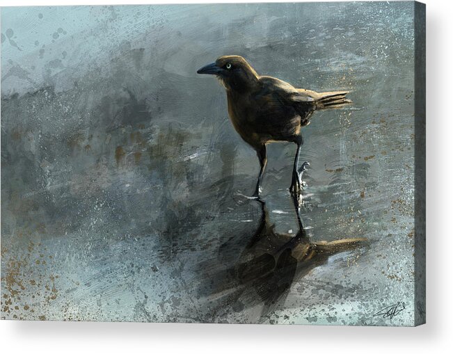 Bird Acrylic Print featuring the digital art Bird In A Puddle by Steve Goad