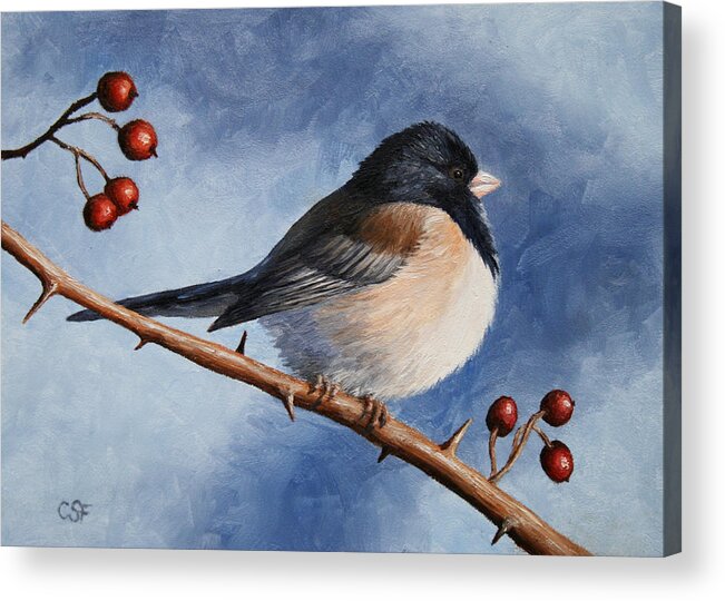 Bird Acrylic Print featuring the painting Bird Painting - Dark-eyed Junco by Crista Forest