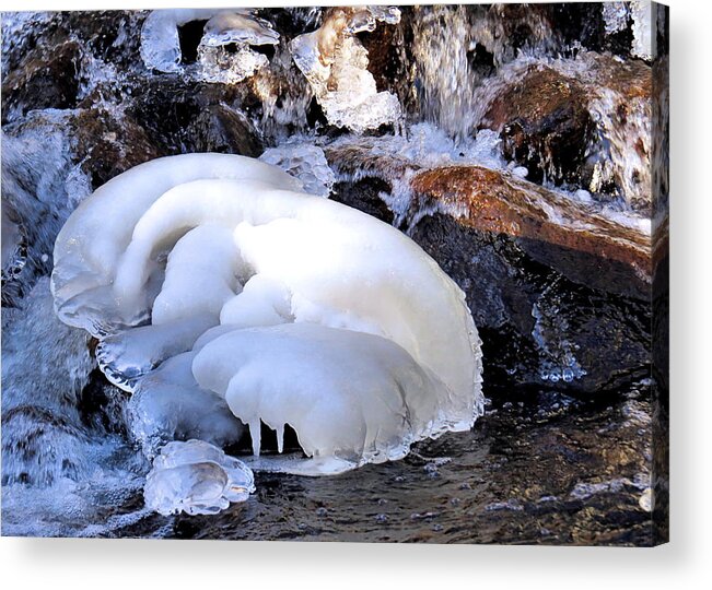Blanket Of Ice Acrylic Print featuring the photograph Blanket of Ice by Janice Drew