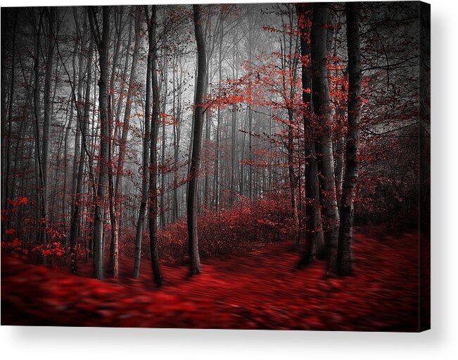 Landscape Acrylic Print featuring the photograph Bloody River by Samanta