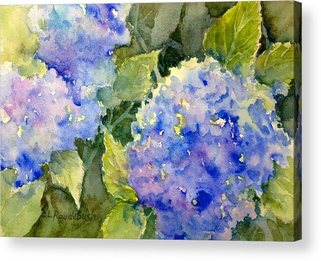 Hydrangea Acrylic Print featuring the painting Blue Hydrangea by Cynthia Roudebush