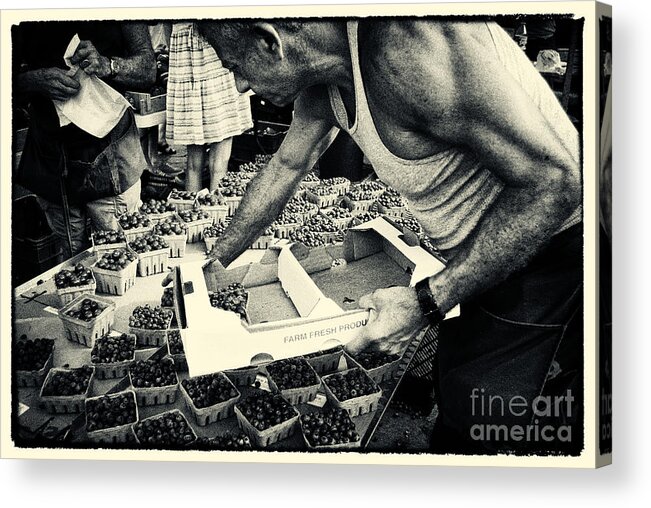 Filmnoir Acrylic Print featuring the photograph Blueberries at the Market New York City by Sabine Jacobs