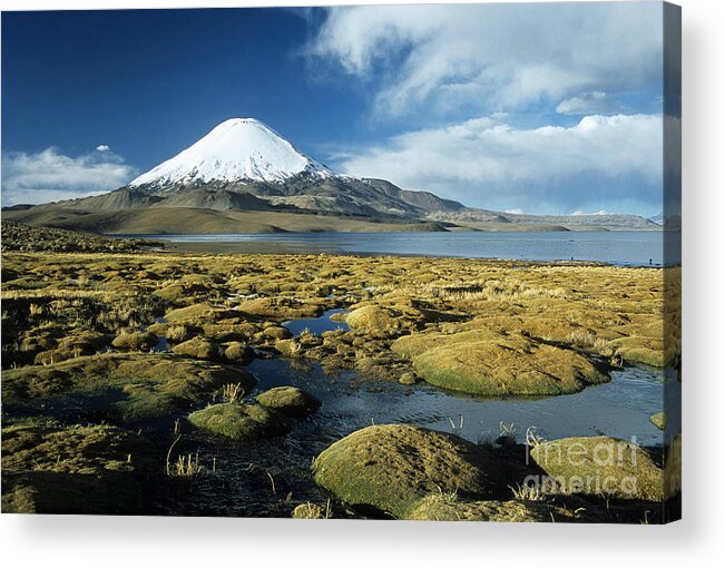 Chile Acrylic Print featuring the photograph Bofedales in Lauca National Park by James Brunker