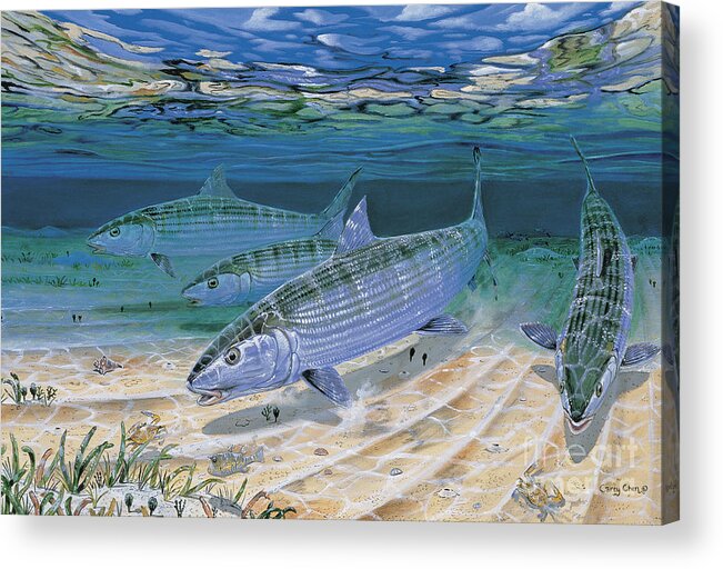 Bonefish Acrylic Print featuring the painting Bonefish Flats In002 by Carey Chen