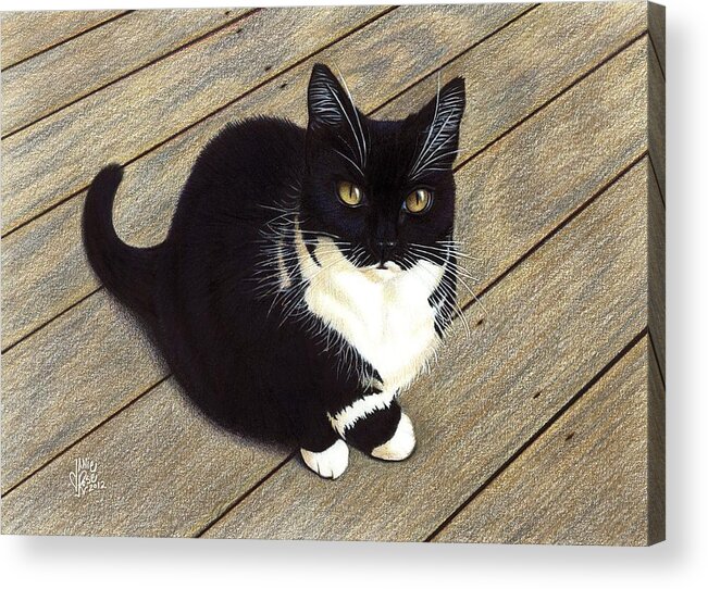 Cat Acrylic Print featuring the drawing Boots by Danielle R T Haney