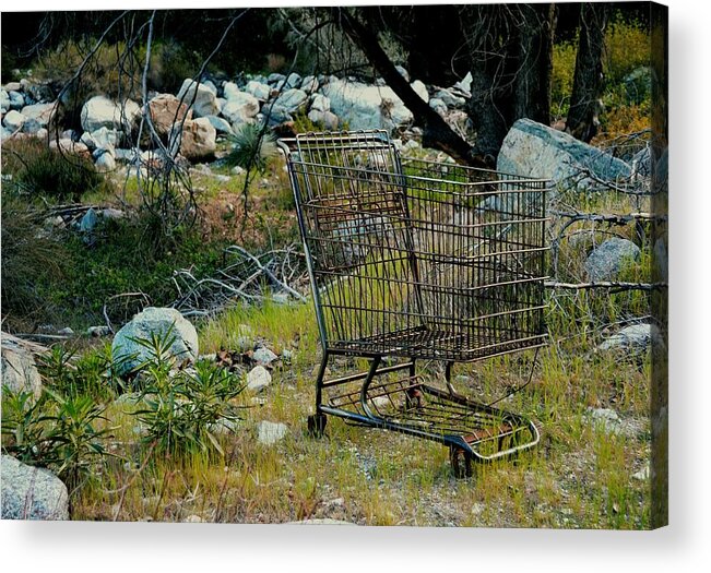 Shopping Cart Acrylic Print featuring the photograph Boulder Market by Laureen Murtha Menzl
