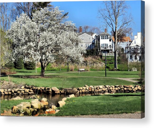 Brewster Gardens Acrylic Print featuring the photograph Brewster Gardens by Janice Drew