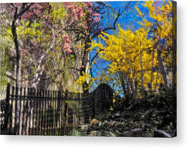 Brilliant Acrylic Print featuring the photograph Brilliant Day by Carol Whaley Addassi