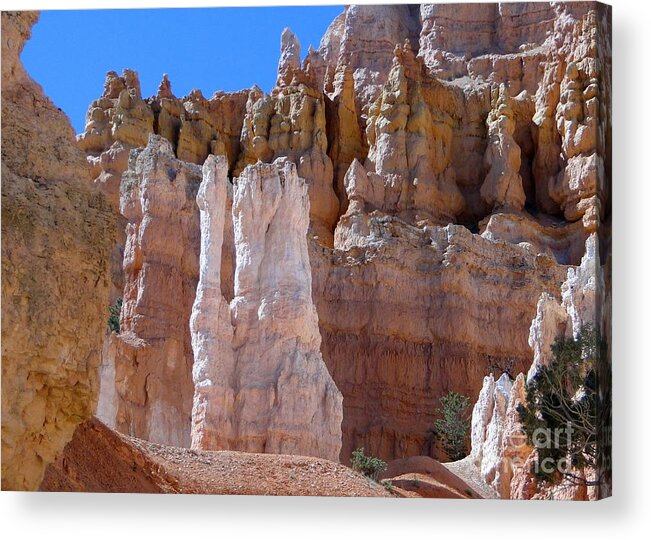 Hoodoo Acrylic Print featuring the photograph Bryce Canyon Beauty by Barbie Corbett-Newmin