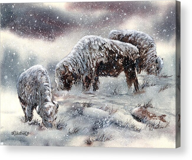 Buffalo Acrylic Print featuring the painting Buffalo in Snow by Jill Westbrook