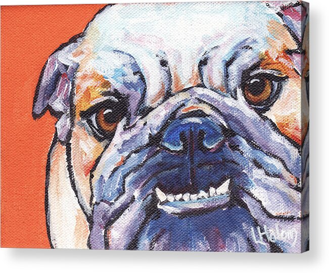 Bulldog Acrylic Print featuring the painting Bulldog by Greg and Linda Halom