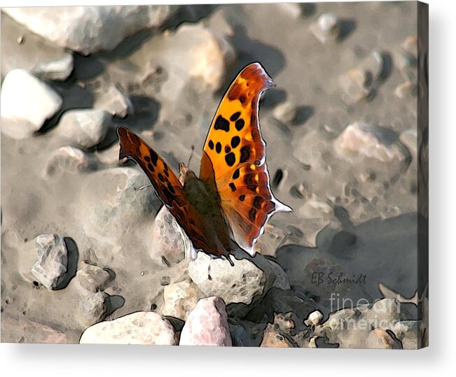 Butterfly Garden Acrylic Print featuring the digital art Butterfly Garden 09 - Eastern Comma by E B Schmidt