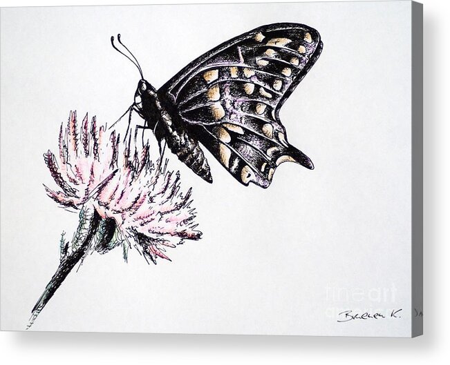 Butterfly Acrylic Print featuring the drawing Butterfly by Katharina Bruenen