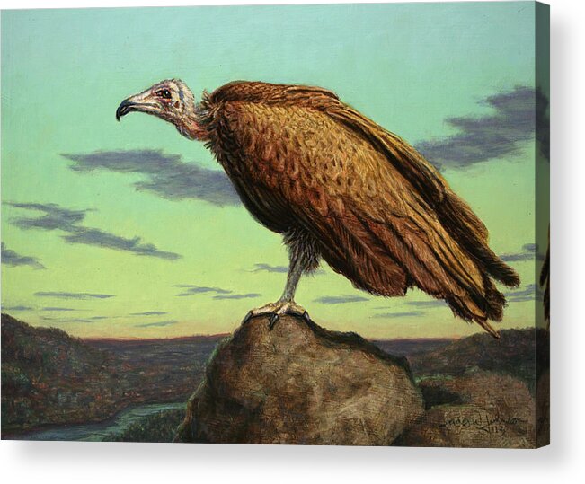 Buzzard Acrylic Print featuring the painting Buzzard Rock by James W Johnson