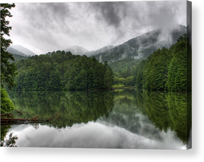 Trees Acrylic Print featuring the photograph Calm Waters by Rebecca Hiatt