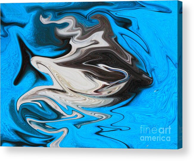 Abstract Acrylic Print featuring the photograph Abstract Cat Fish by Linsey Williams