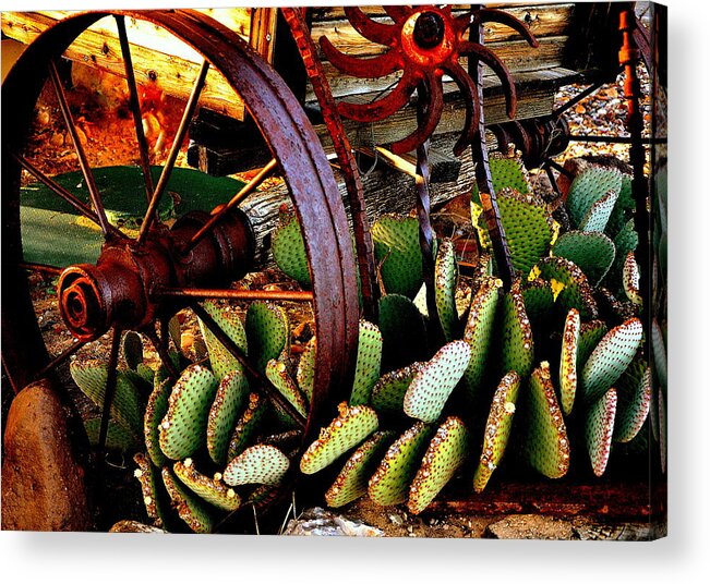 Wagon Wheel Acrylic Print featuring the photograph Caught in a Cactus Patch-SOLD by Antonia Citrino