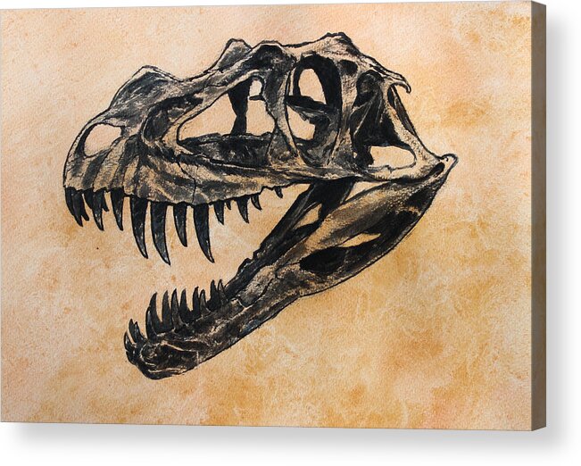 Dinosaur Acrylic Print featuring the painting Ceratosaurus skull by Harm Plat