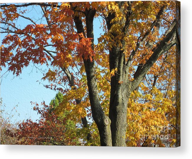 Autumn Acrylic Print featuring the photograph Change by Kathie Chicoine