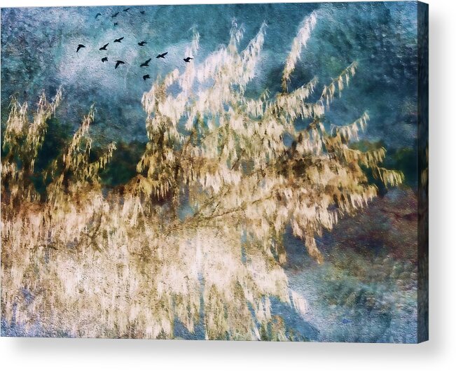 Nature Acrylic Print featuring the photograph Change of Weather by Kathy Bassett