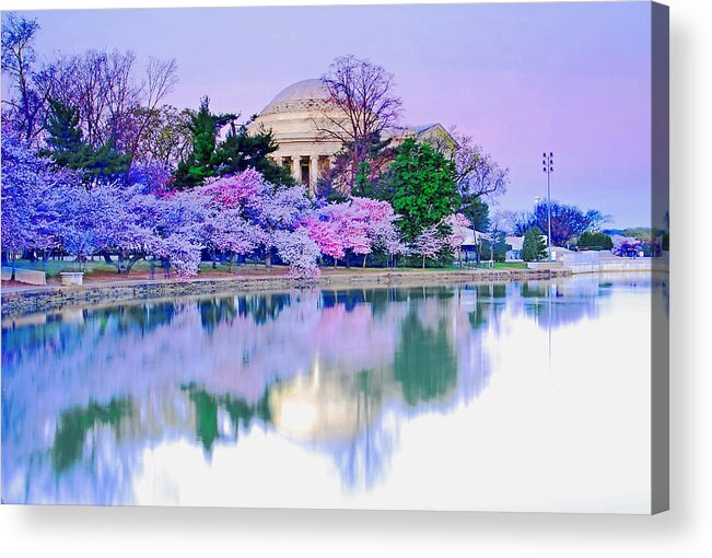 Cherry Acrylic Print featuring the photograph Cherry Blossom morning by Bill Jonscher