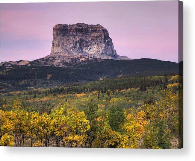 Glacier National Park Acrylic Print featuring the photograph Chief Mountain Sunrise by Mark Kiver