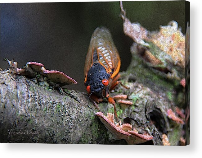 Cicada Acrylic Print featuring the photograph Cicada - the Red-eyed Monster by Yvonne Wright