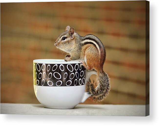 Coffee Acrylic Print featuring the photograph Coffee with Chipper the Chipmunk by Peggy Collins