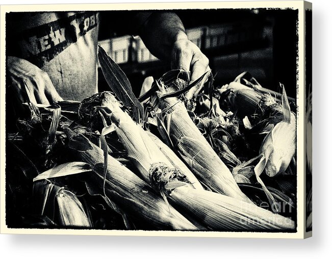 Filmnoir Acrylic Print featuring the photograph Corn Cobs at the Market New York City by Sabine Jacobs