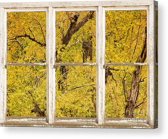 Window Acrylic Print featuring the photograph Cottonwood Fall Foliage Colors Rustic Farm Window View by James BO Insogna