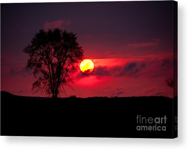Sunsets Acrylic Print featuring the photograph Could be in Africa by Cheryl Baxter