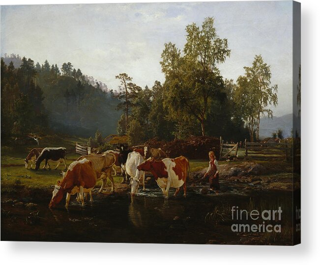 Anders Askevold Acrylic Print featuring the painting Cows by the river by Anders Askevold