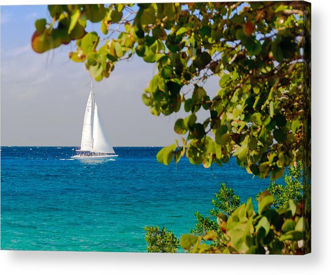 Cozumel Acrylic Print featuring the photograph Cozumel Sailboat by Mitchell R Grosky