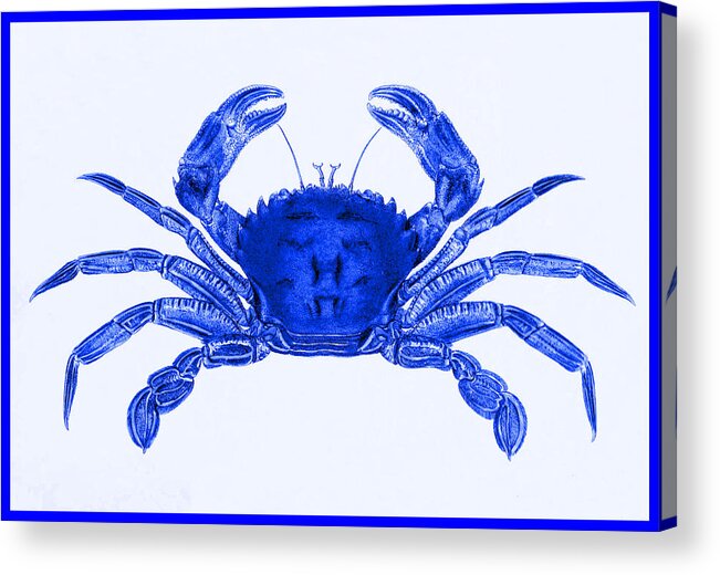 Crab Acrylic Print featuring the mixed media Crab - Blue by Charlie Ross