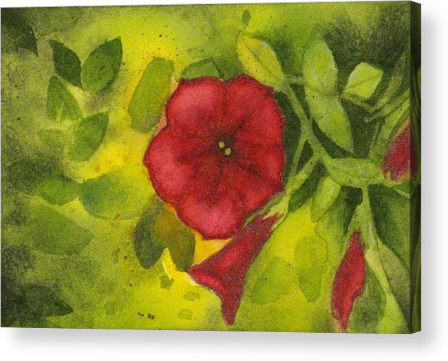 Red Acrylic Print featuring the painting Crimson Petunia by Tanya Petruk