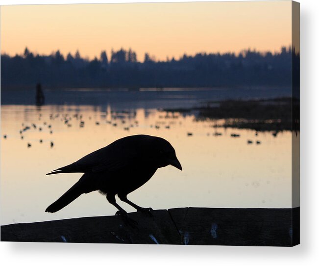 Wildlife Acrylic Print featuring the photograph Crow Silhouette by Gerry Bates
