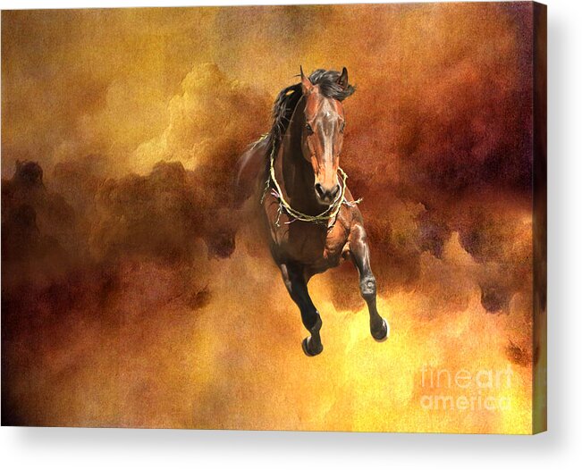 Horse Acrylic Print featuring the digital art Dancing Free I by Michelle Twohig
