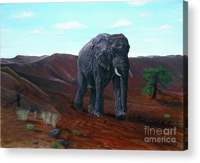 Elephant Painting Acrylic Print featuring the painting Desert Elephant by Tom Blodgett Jr