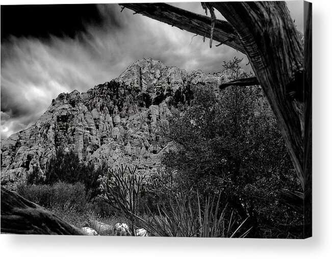 Desert Acrylic Print featuring the photograph Desert Slendor by Chris McKenna