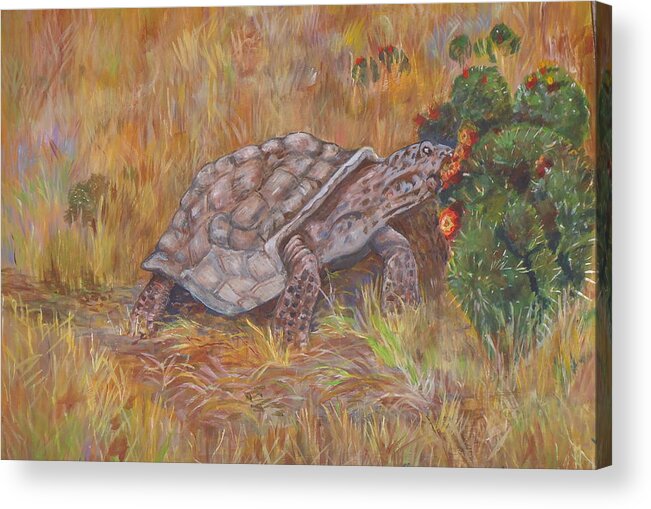 One Of The Oldest Desert Dwellers Eating Cactus. Desert Acrylic Print featuring the painting Desert Tortoise Eating Cactus by Charme Curtin