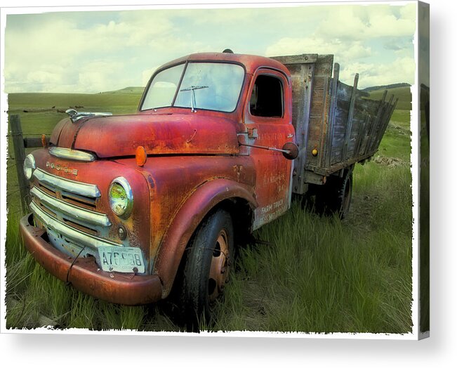 Old Truck Acrylic Print featuring the photograph Dodge Farm Truck by Theresa Tahara