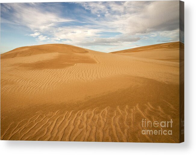 San Luis Obispo County Acrylic Print featuring the photograph Dunescape by Alice Cahill