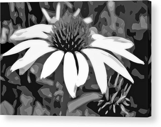 Flower Acrylic Print featuring the photograph Echinacea - Digital art by Ellen Tully