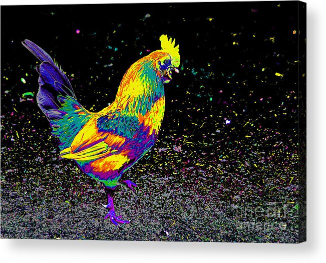 Rooster Acrylic Print featuring the photograph Electric Neon Rooster by Nick Gustafson