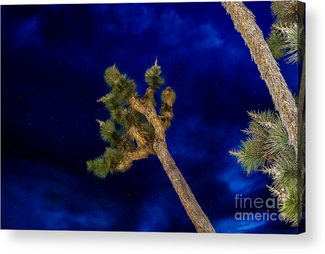 Blue Sunset Acrylic Print featuring the photograph Elvis Blue Sunset by Angela J Wright