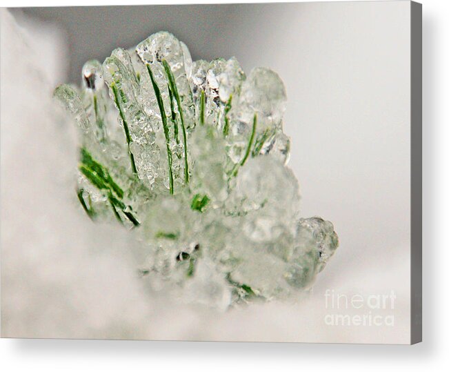 Icicles Acrylic Print featuring the photograph Emerald in Ice by Chuck Flewelling