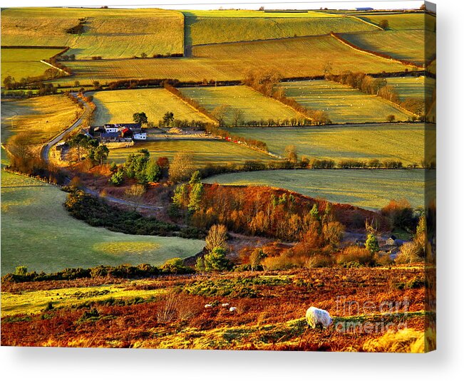 English Acrylic Print featuring the photograph Evening Landscape in County Durham by Martyn Arnold